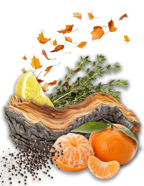 Endless Horizon Clean Fragrance - Fragrances